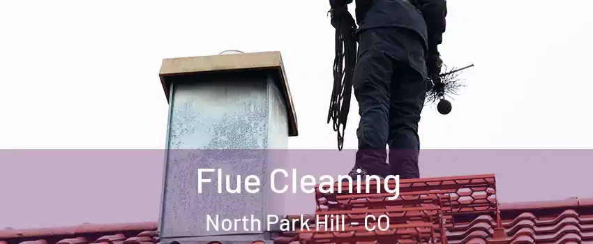 Flue Cleaning North Park Hill - CO