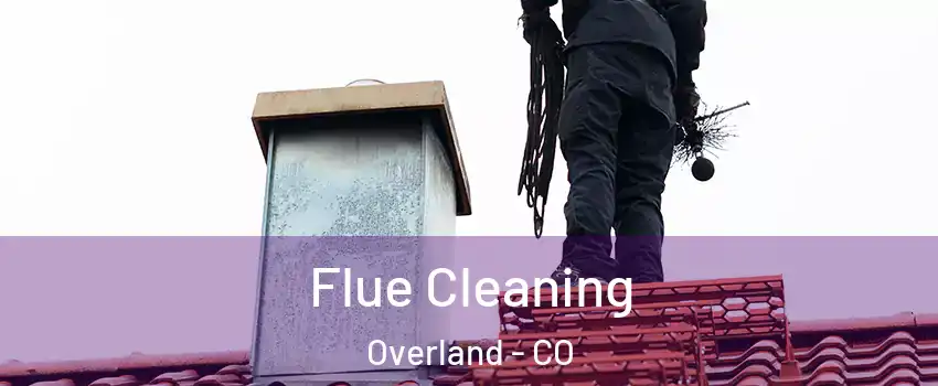 Flue Cleaning Overland - CO