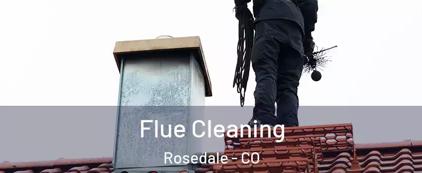 Flue Cleaning Rosedale - CO