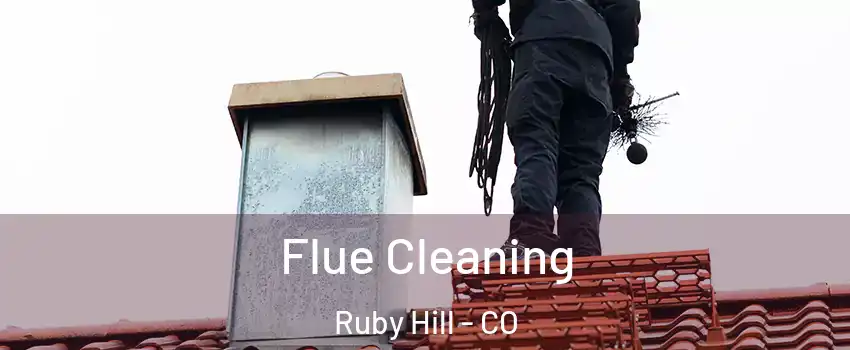 Flue Cleaning Ruby Hill - CO