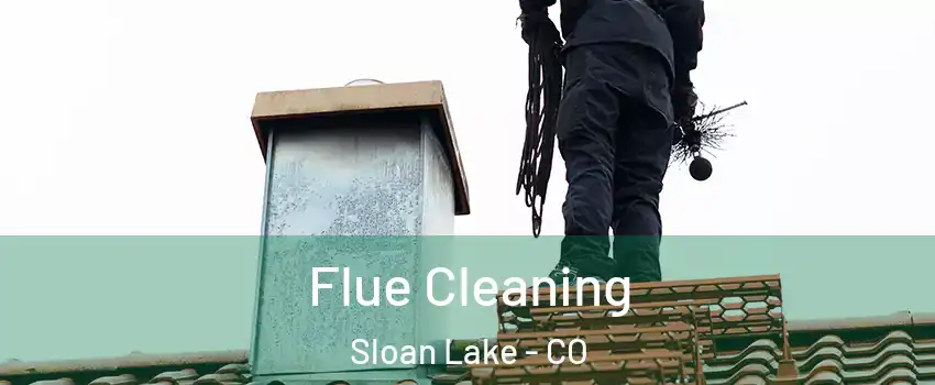 Flue Cleaning Sloan Lake - CO