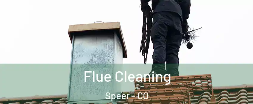 Flue Cleaning Speer - CO