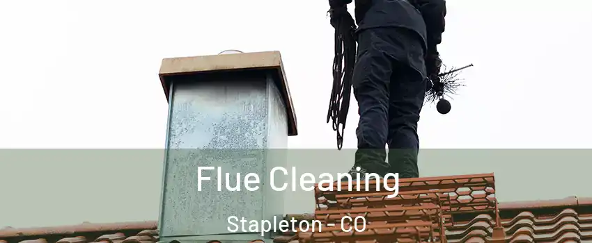 Flue Cleaning Stapleton - CO