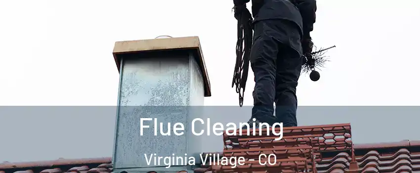 Flue Cleaning Virginia Village - CO