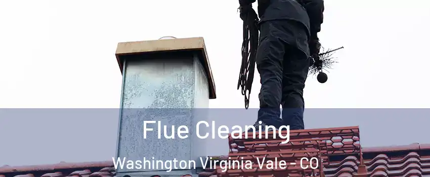 Flue Cleaning Washington Virginia Vale - CO