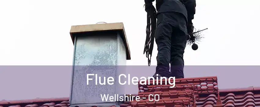 Flue Cleaning Wellshire - CO