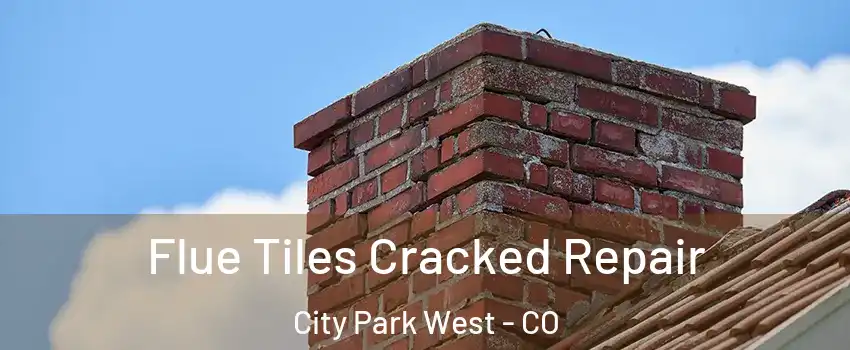 Flue Tiles Cracked Repair City Park West - CO