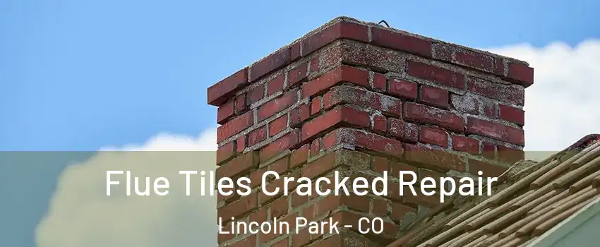 Flue Tiles Cracked Repair Lincoln Park - CO