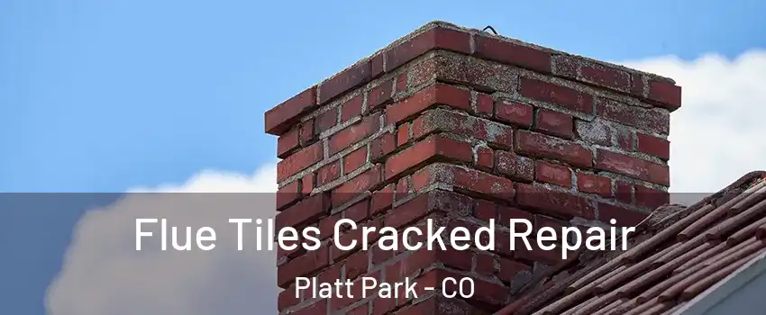 Flue Tiles Cracked Repair Platt Park - CO