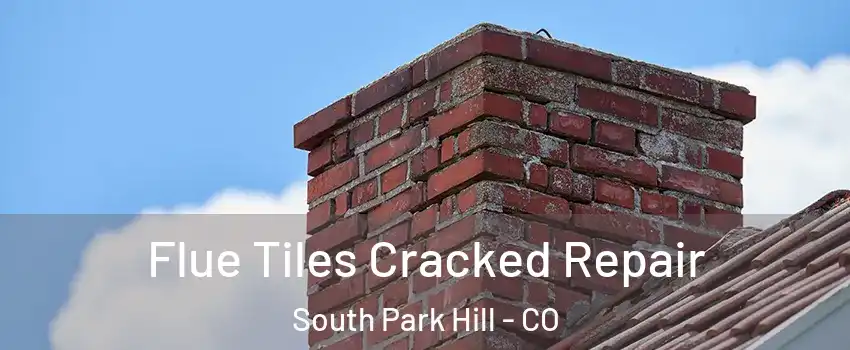 Flue Tiles Cracked Repair South Park Hill - CO