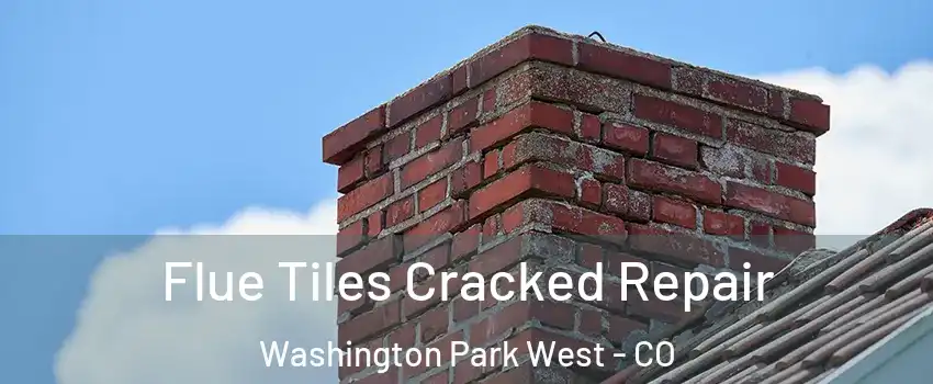 Flue Tiles Cracked Repair Washington Park West - CO