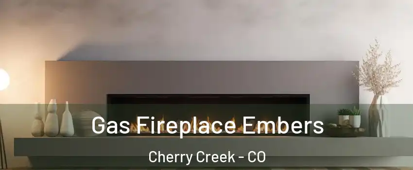 Gas Fireplace Embers Cherry Creek - CO