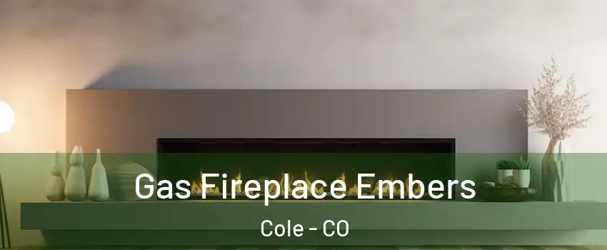 Gas Fireplace Embers Cole - CO