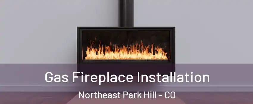 Gas Fireplace Installation Northeast Park Hill - CO