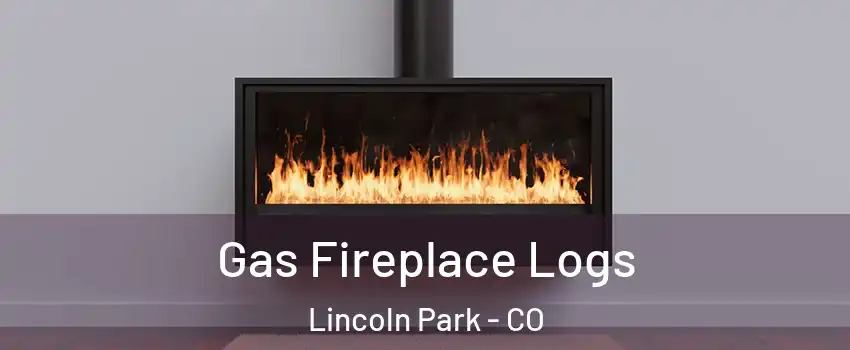 Gas Fireplace Logs Lincoln Park - CO