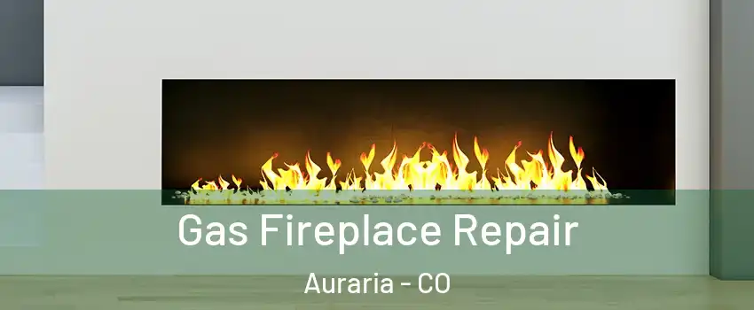 Gas Fireplace Repair Auraria - CO