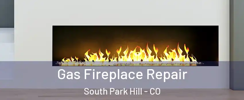 Gas Fireplace Repair South Park Hill - CO