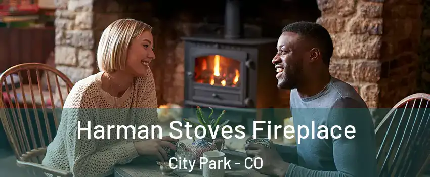 Harman Stoves Fireplace City Park - CO