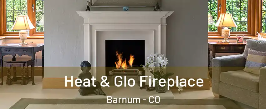 Heat & Glo Fireplace Barnum - CO