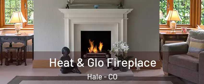 Heat & Glo Fireplace Hale - CO