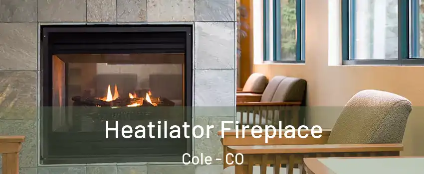 Heatilator Fireplace Cole - CO