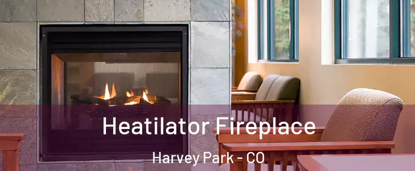 Heatilator Fireplace Harvey Park - CO