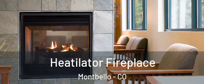 Heatilator Fireplace Montbello - CO