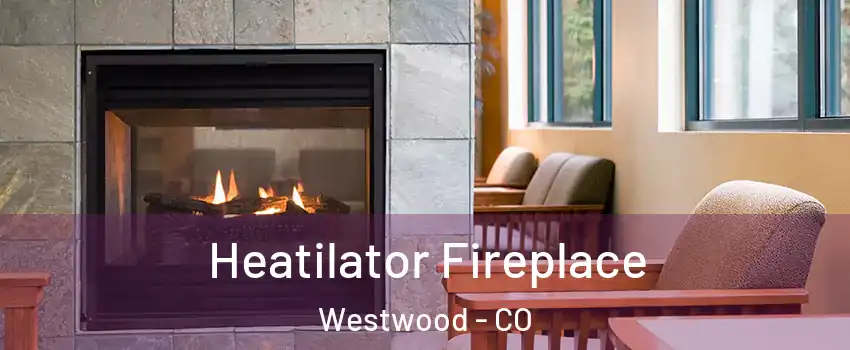 Heatilator Fireplace Westwood - CO