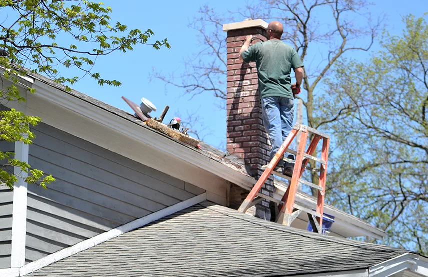 Chimney & Fireplace Inspections Services in Denver, CO