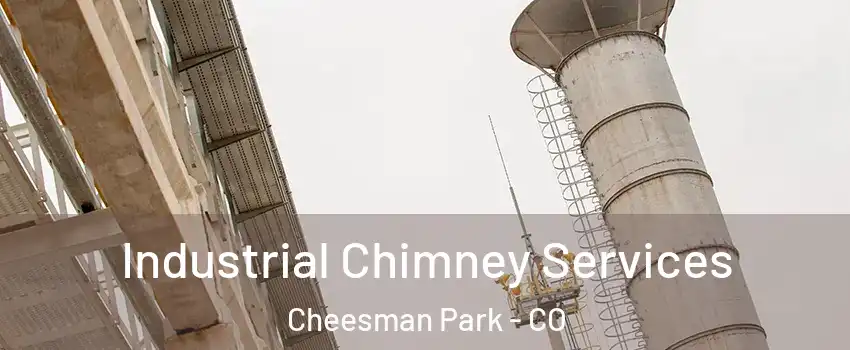 Industrial Chimney Services Cheesman Park - CO