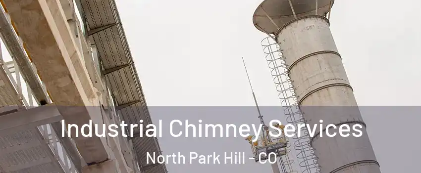 Industrial Chimney Services North Park Hill - CO