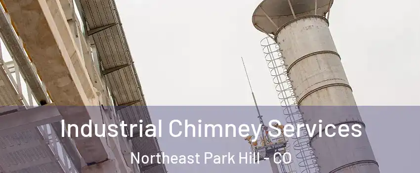 Industrial Chimney Services Northeast Park Hill - CO