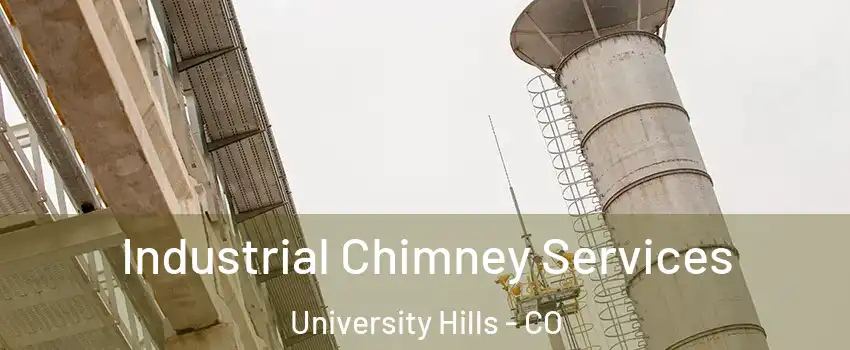 Industrial Chimney Services University Hills - CO