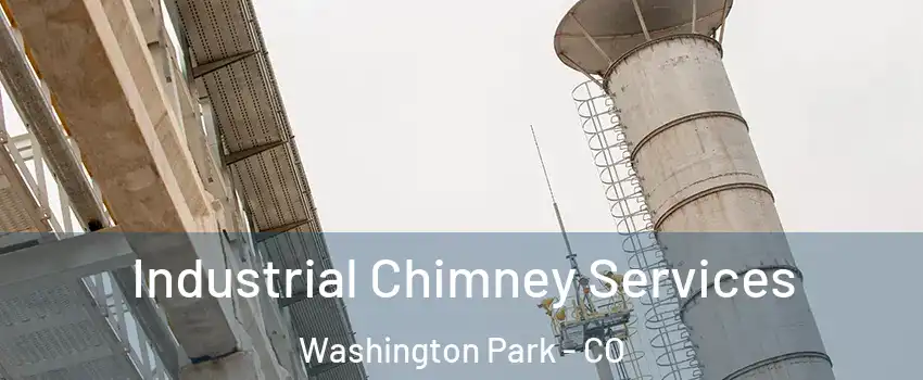 Industrial Chimney Services Washington Park - CO