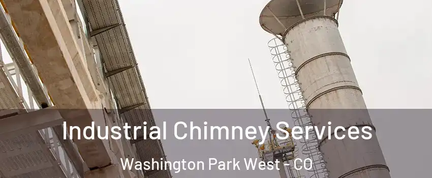 Industrial Chimney Services Washington Park West - CO