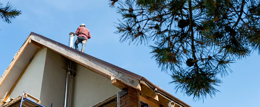 Birds Removal Contractors from Chimney in Jefferson Park, CO