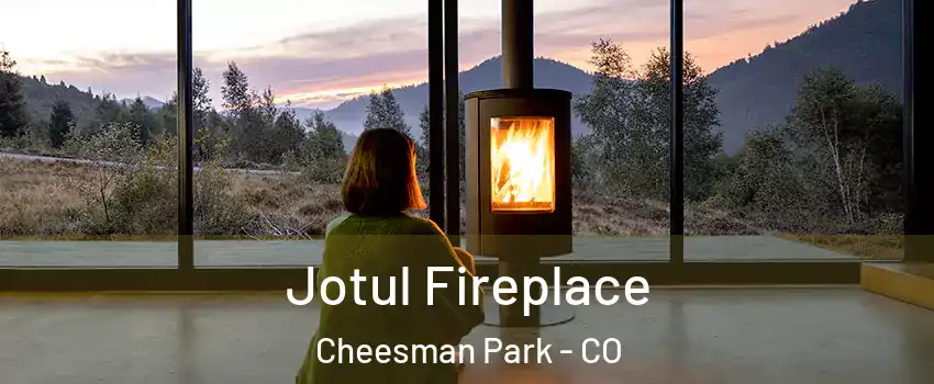 Jotul Fireplace Cheesman Park - CO