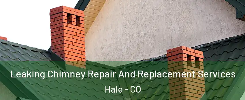 Leaking Chimney Repair And Replacement Services Hale - CO