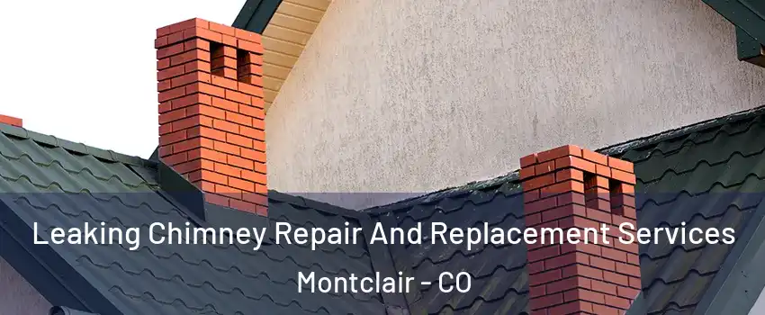 Leaking Chimney Repair And Replacement Services Montclair - CO