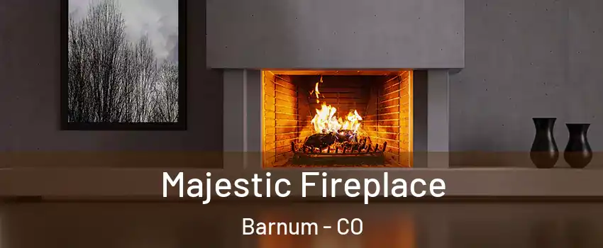 Majestic Fireplace Barnum - CO