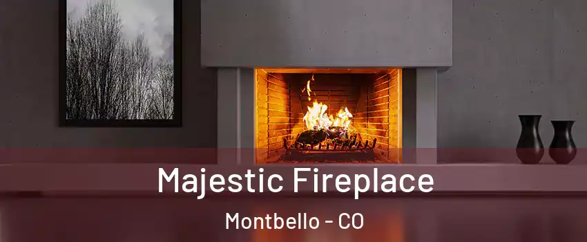 Majestic Fireplace Montbello - CO