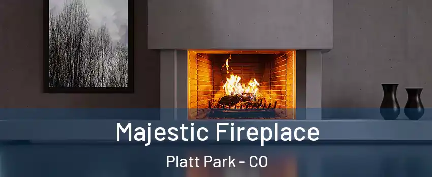 Majestic Fireplace Platt Park - CO