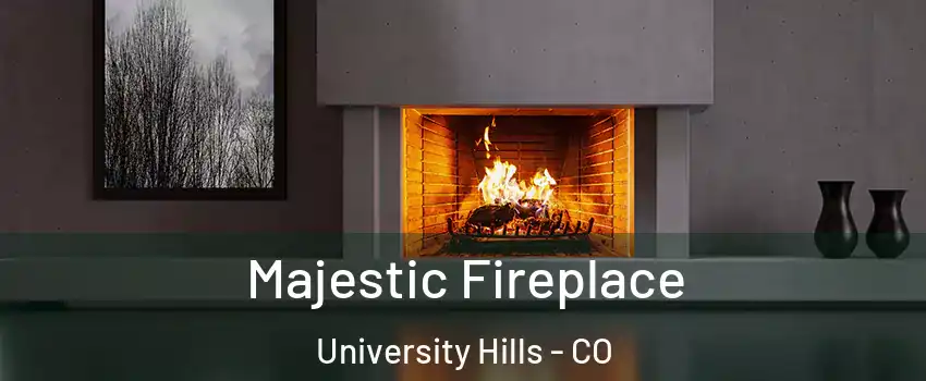 Majestic Fireplace University Hills - CO