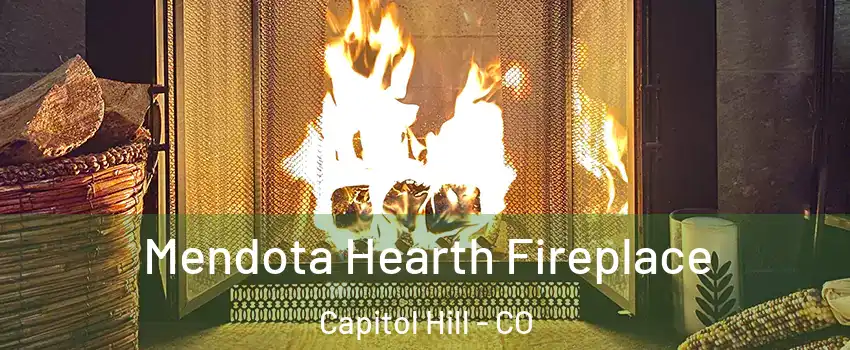 Mendota Hearth Fireplace Capitol Hill - CO