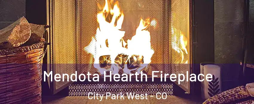 Mendota Hearth Fireplace City Park West - CO