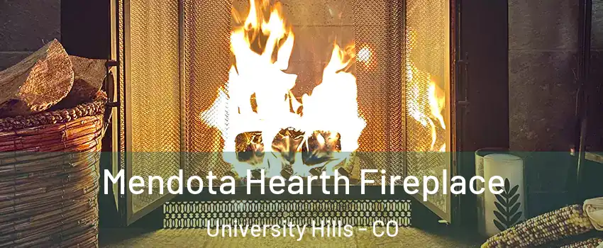 Mendota Hearth Fireplace University Hills - CO