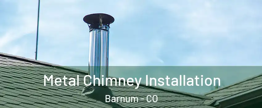 Metal Chimney Installation Barnum - CO