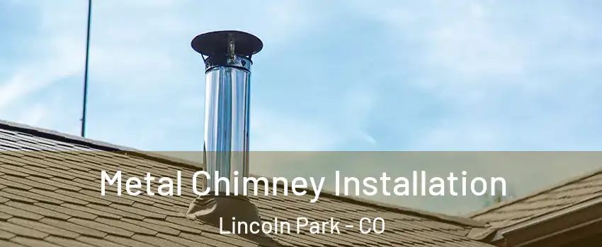 Metal Chimney Installation Lincoln Park - CO