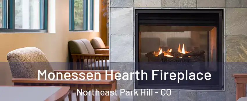 Monessen Hearth Fireplace Northeast Park Hill - CO