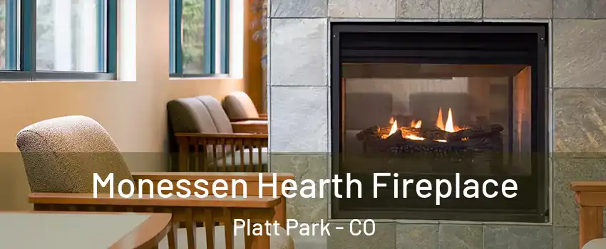 Monessen Hearth Fireplace Platt Park - CO